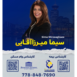 Sima Mirzaaghaee